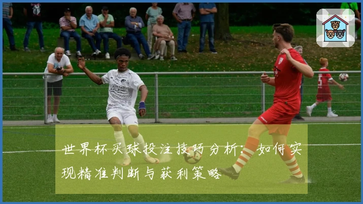 世界杯买球投注技巧分析：如何实现精准判断与获利策略