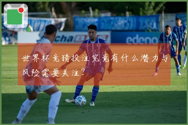 世界杯竞猜投注究竟有什么潜力与风险需要关注？