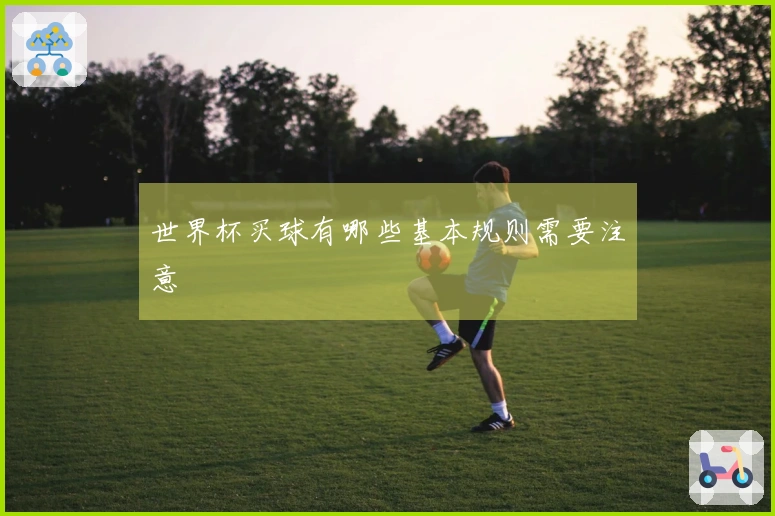 世界杯买球有哪些基本规则需要注意