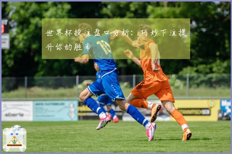 世界杯投注盘口分析：巧妙下注提升你的胜率
