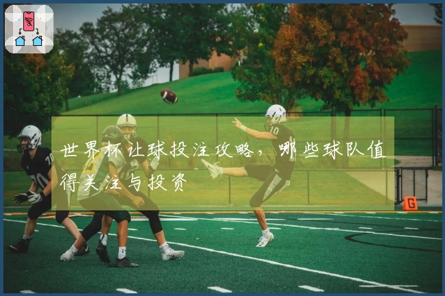 世界杯让球投注攻略，哪些球队值得关注与投资