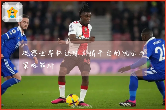 观察世界杯让球竞猜平台的玩法与策略解析