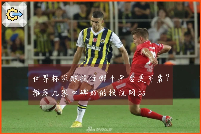 世界杯买球投注哪个平台更可靠？推荐几家口碑好的投注网站